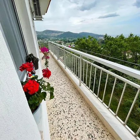 Rose House *