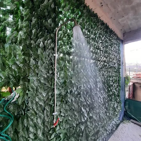 Ferienhaus Rose House